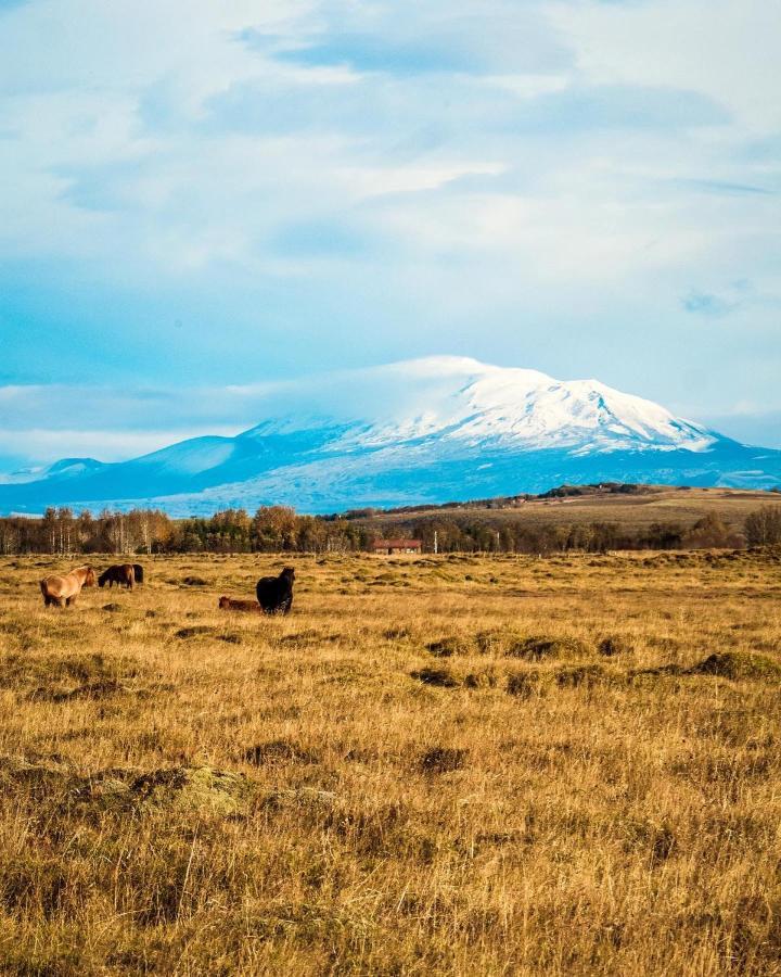 Gaukshof Hotel Selfoss Bagian luar foto